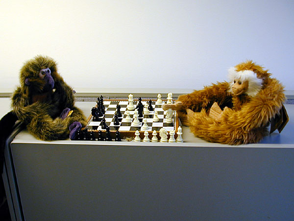 chess_match.jpg